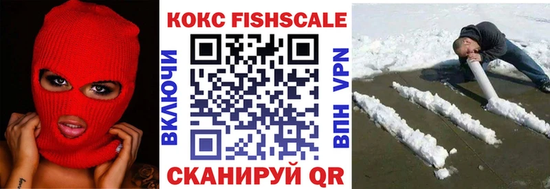 COCAIN Fish Scale  MEGA маркетплейс  Малоярославец 