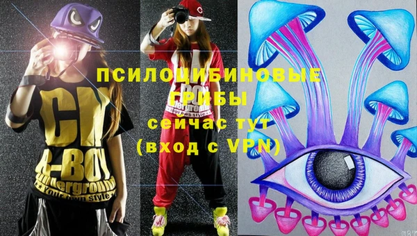 молекула духа Богородск