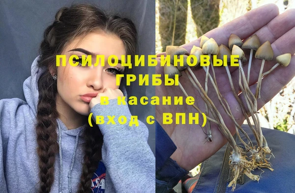 трава Богородицк