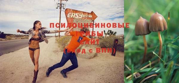 трава Богородицк