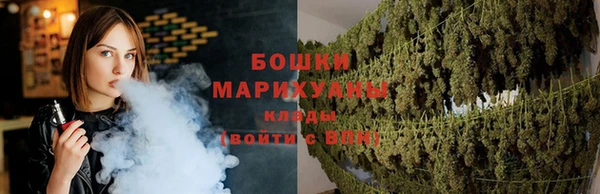 молекула духа Богородск