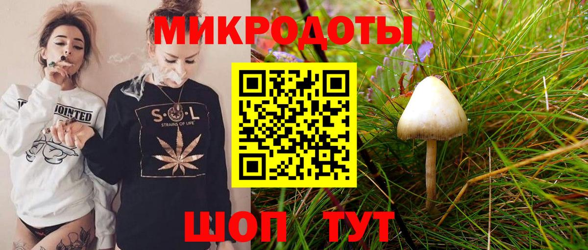 Псилоцибиновые грибы мухоморы Малоярославец